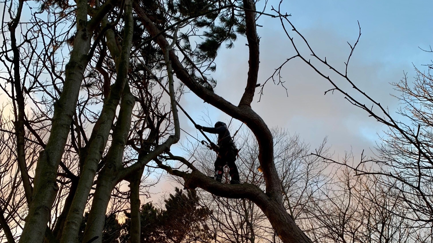 David & Ben clearing strom damaged trees in Northumberland